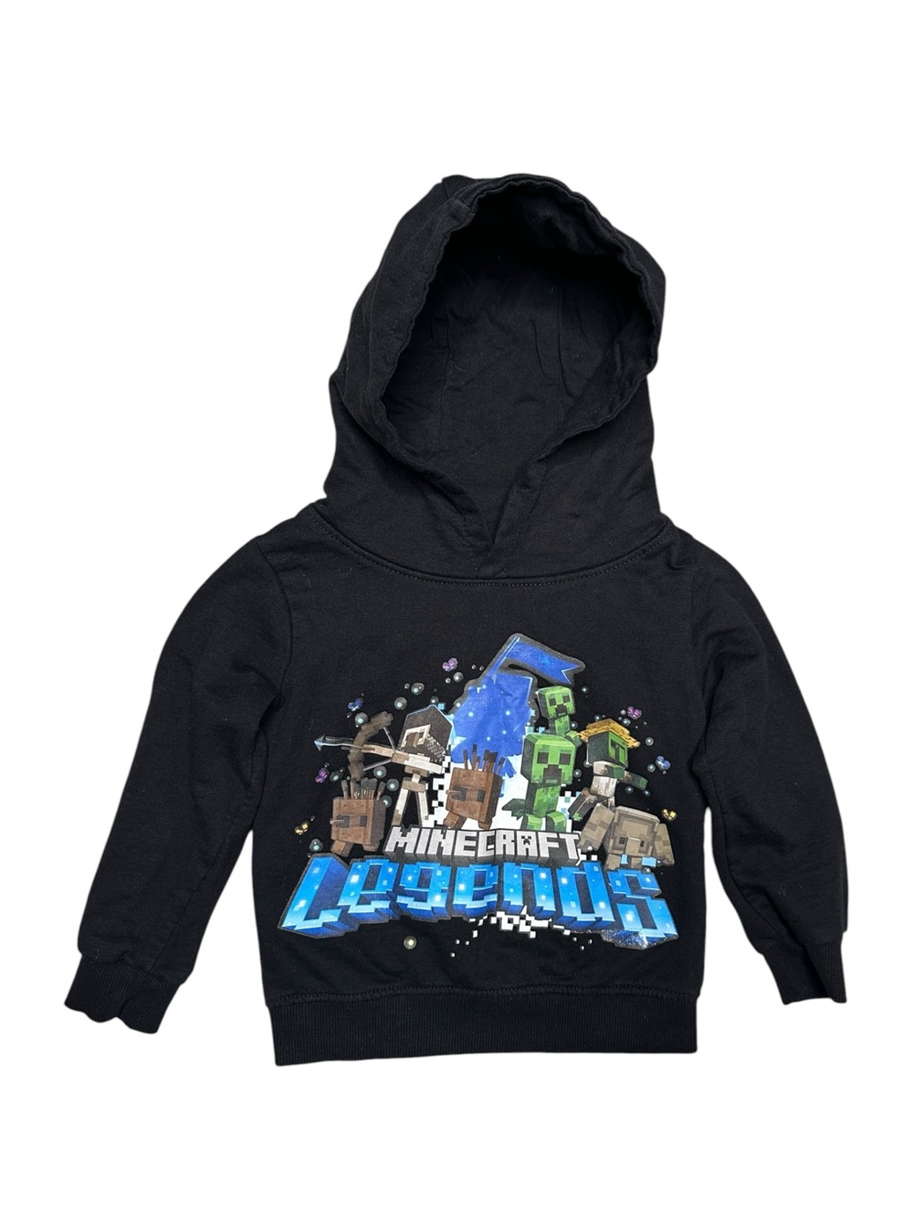 Minecraft Legends Black Kids Hoodie with Graphic